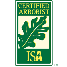 certified arborist logo